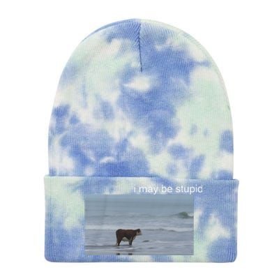 I May Be Stupid Cow On Beach Funny Meme Tie Dye 12in Knit Beanie