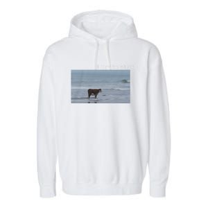 I May Be Stupid Cow On Beach Funny Meme Garment-Dyed Fleece Hoodie