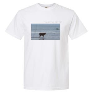 I May Be Stupid Cow On Beach Funny Meme Garment-Dyed Heavyweight T-Shirt