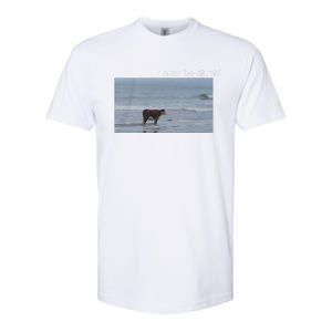 I May Be Stupid Cow On Beach Funny Meme Softstyle CVC T-Shirt