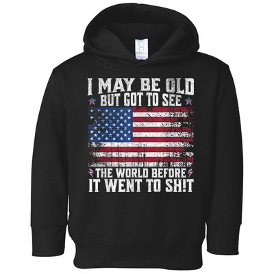 I May Be Old But Got To See The World Before It Went To Shit Toddler Hoodie