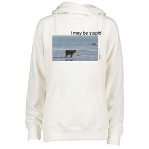 I May Be Stupid Cow On Beach Womens Funnel Neck Pullover Hood