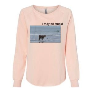 I May Be Stupid Cow On Beach Womens California Wash Sweatshirt