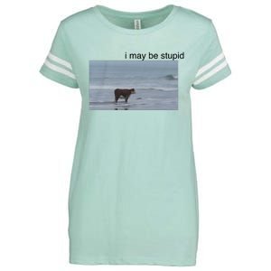 I May Be Stupid Cow On Beach Enza Ladies Jersey Football T-Shirt