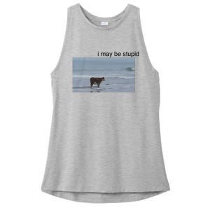 I May Be Stupid Cow On Beach Ladies PosiCharge Tri-Blend Wicking Tank