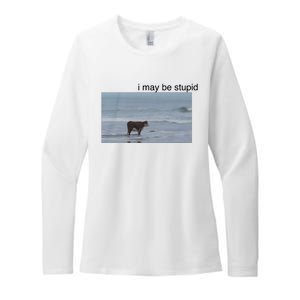 I May Be Stupid Cow On Beach Womens CVC Long Sleeve Shirt