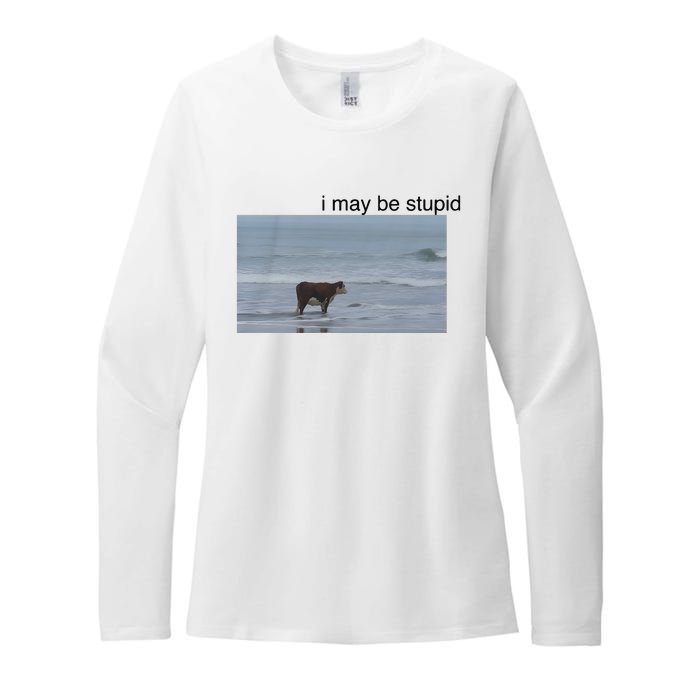 I May Be Stupid Cow On Beach Womens CVC Long Sleeve Shirt