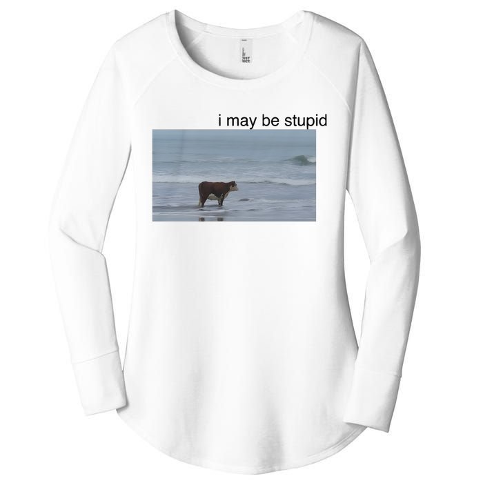 I May Be Stupid Cow On Beach Women's Perfect Tri Tunic Long Sleeve Shirt