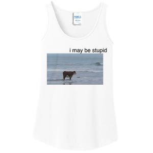 I May Be Stupid Cow On Beach Ladies Essential Tank