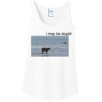 I May Be Stupid Cow On Beach Ladies Essential Tank