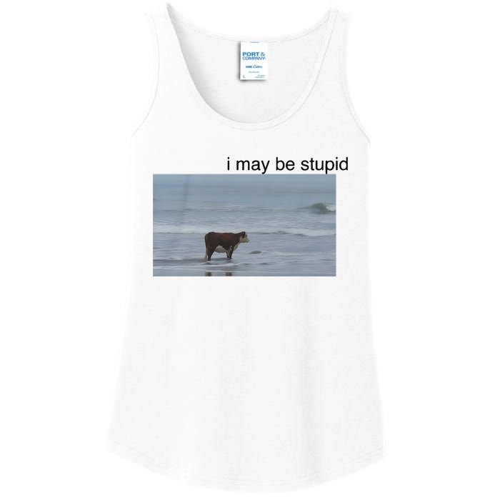 I May Be Stupid Cow On Beach Ladies Essential Tank