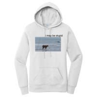 I May Be Stupid Cow On Beach Women's Pullover Hoodie