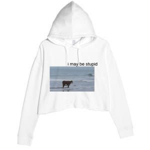 I May Be Stupid Cow On Beach Crop Fleece Hoodie