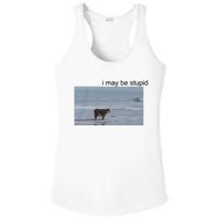 I May Be Stupid Cow On Beach Ladies PosiCharge Competitor Racerback Tank