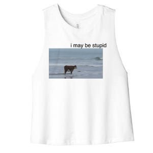 I May Be Stupid Cow On Beach Women's Racerback Cropped Tank