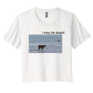 I May Be Stupid Cow On Beach Women's Crop Top Tee