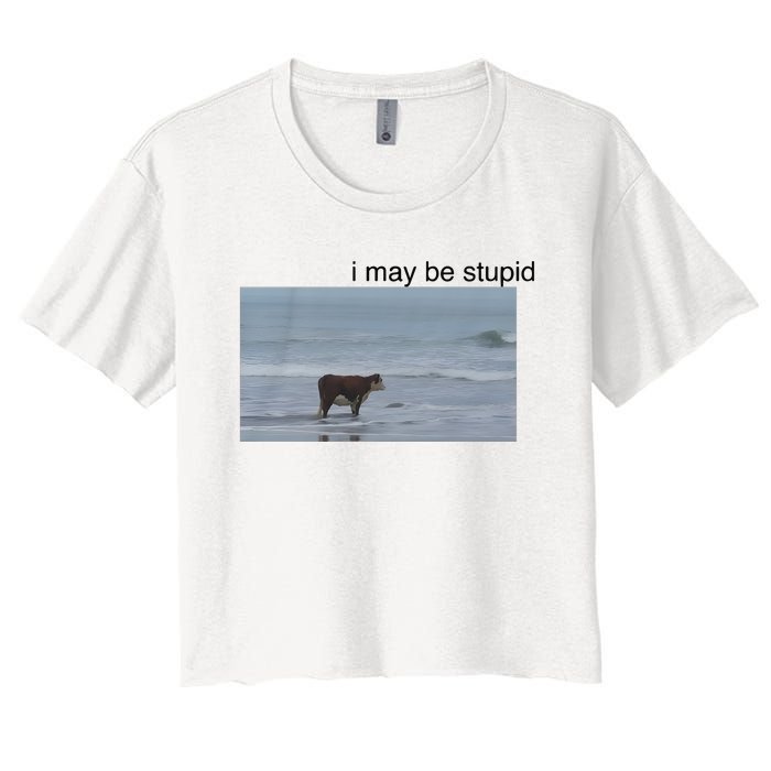 I May Be Stupid Cow On Beach Women's Crop Top Tee