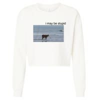 I May Be Stupid Cow On Beach Cropped Pullover Crew