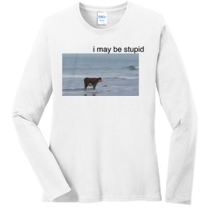 I May Be Stupid Cow On Beach Ladies Long Sleeve Shirt