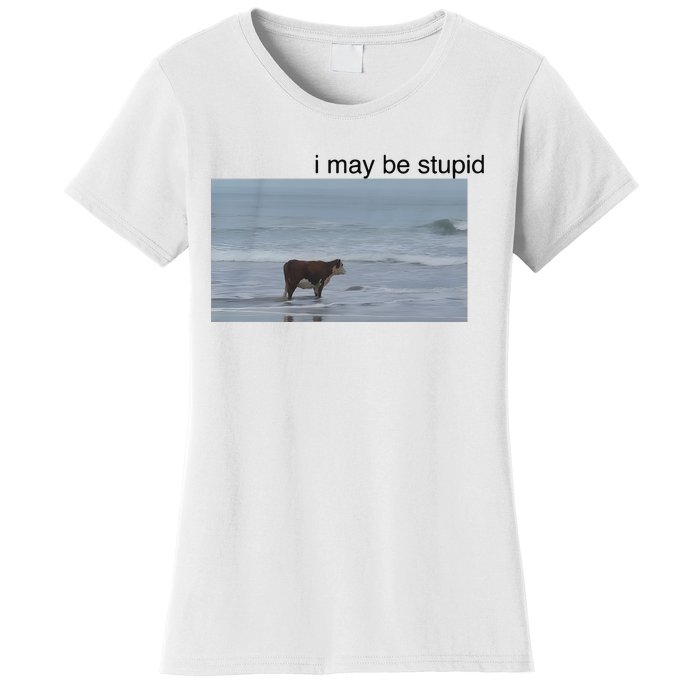 I May Be Stupid Cow On Beach Women's T-Shirt