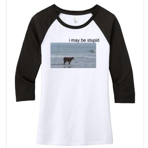 I May Be Stupid Cow On Beach Women's Tri-Blend 3/4-Sleeve Raglan Shirt