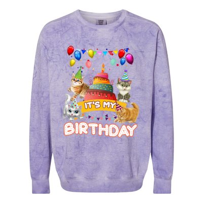 ItS My Birthday Cat And Kitten Party Day Colorblast Crewneck Sweatshirt