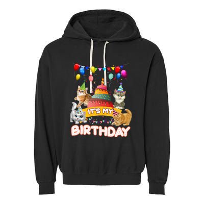 ItS My Birthday Cat And Kitten Party Day Garment-Dyed Fleece Hoodie