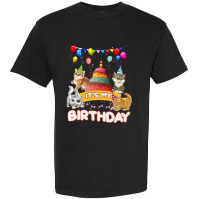 ItS My Birthday Cat And Kitten Party Day Garment-Dyed Heavyweight T-Shirt