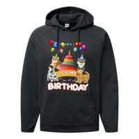 ItS My Birthday Cat And Kitten Party Day Performance Fleece Hoodie