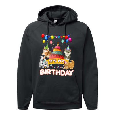 ItS My Birthday Cat And Kitten Party Day Performance Fleece Hoodie