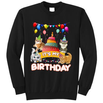 ItS My Birthday Cat And Kitten Party Day Sweatshirt