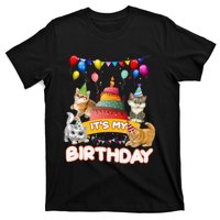 ItS My Birthday Cat And Kitten Party Day T-Shirt