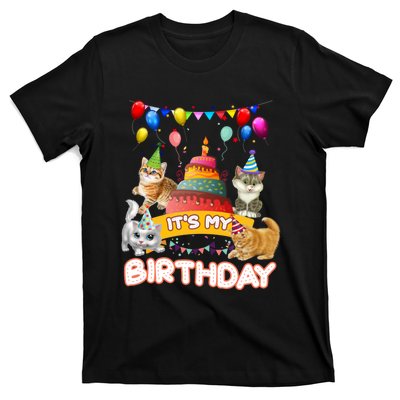 ItS My Birthday Cat And Kitten Party Day T-Shirt