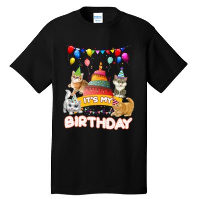 ItS My Birthday Cat And Kitten Party Day Tall T-Shirt