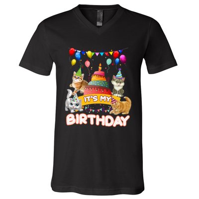 ItS My Birthday Cat And Kitten Party Day V-Neck T-Shirt