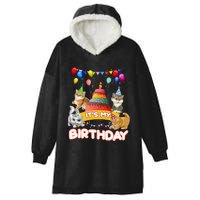 ItS My Birthday Cat And Kitten Party Day Hooded Wearable Blanket