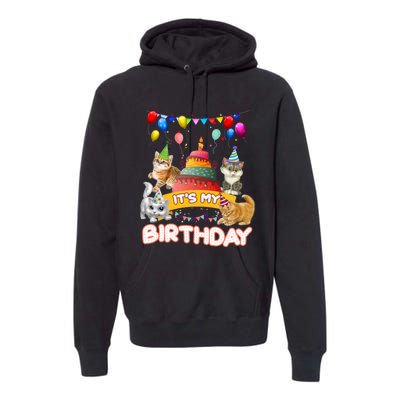 ItS My Birthday Cat And Kitten Party Day Premium Hoodie