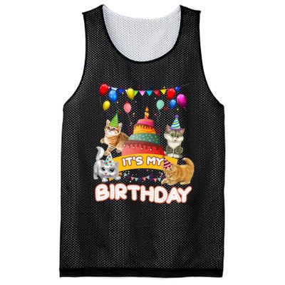 ItS My Birthday Cat And Kitten Party Day Mesh Reversible Basketball Jersey Tank