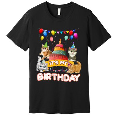 ItS My Birthday Cat And Kitten Party Day Premium T-Shirt