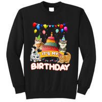 ItS My Birthday Cat And Kitten Party Day Tall Sweatshirt