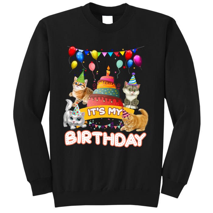 ItS My Birthday Cat And Kitten Party Day Tall Sweatshirt