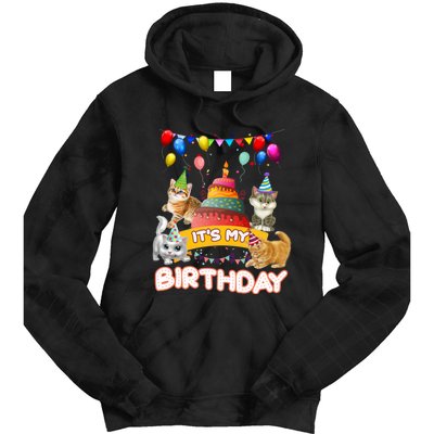 ItS My Birthday Cat And Kitten Party Day Tie Dye Hoodie