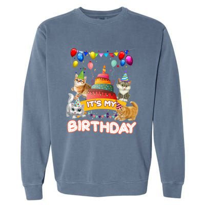 ItS My Birthday Cat And Kitten Party Day Garment-Dyed Sweatshirt