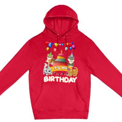 ItS My Birthday Cat And Kitten Party Day Premium Pullover Hoodie