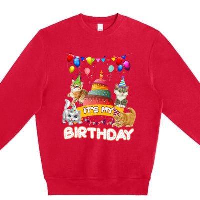 ItS My Birthday Cat And Kitten Party Day Premium Crewneck Sweatshirt