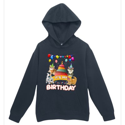 ItS My Birthday Cat And Kitten Party Day Urban Pullover Hoodie