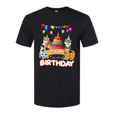 ItS My Birthday Cat And Kitten Party Day Softstyle CVC T-Shirt