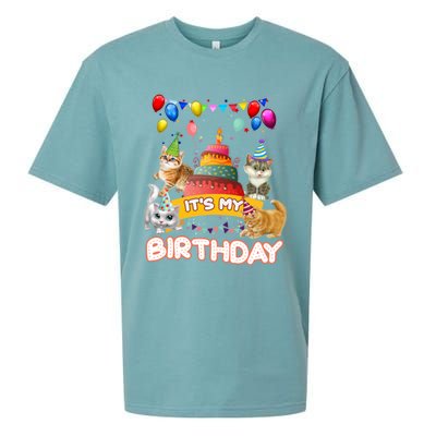 ItS My Birthday Cat And Kitten Party Day Sueded Cloud Jersey T-Shirt