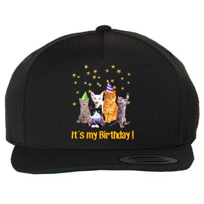 Its My Birthday Cute Cats Meow Wool Snapback Cap