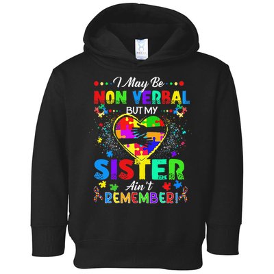 I May Be Non Verbal But My Sister Aint Remember That Autism Toddler Hoodie